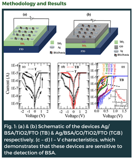 Nanoionics-based Memristor Device for Albumin Detection