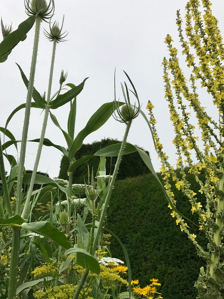 The High Garden at Great Dixter. Photos by Julie Witmer, June 2017