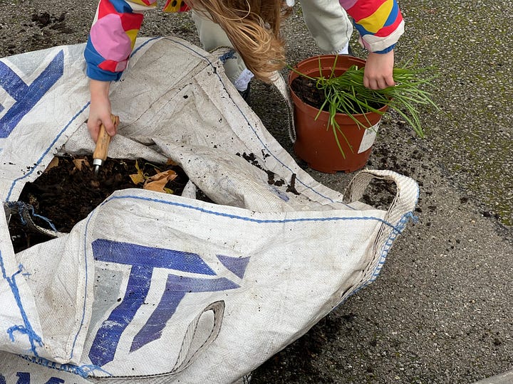 a bamboo cane storage made form a wood pallet, adding compost to plants and transferring to containers, repairing holes in the polytunnel with duct tape