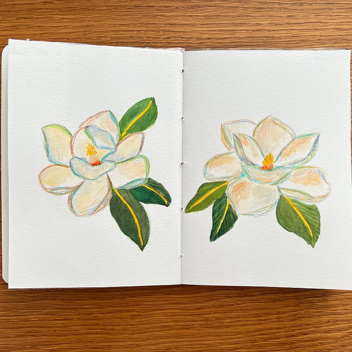 Watercolour magnolias sketches on sketchbook pages