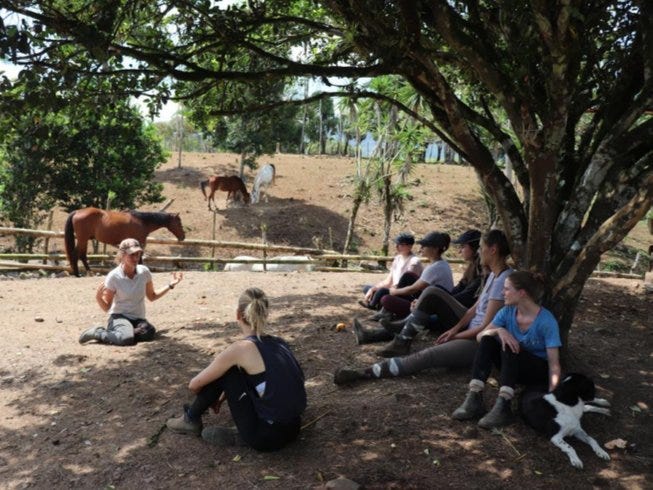 Barefoot Hoof trimming