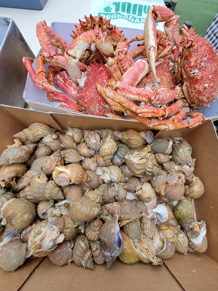 In season January; spider crabs, whelks, purple sprouting broccoli, stored apples, Jerusalem Artichokes