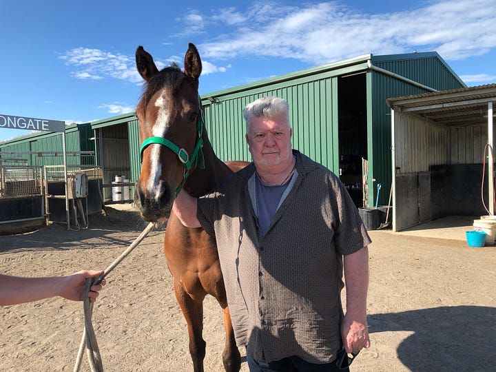 a man and a horse plus a beach scene