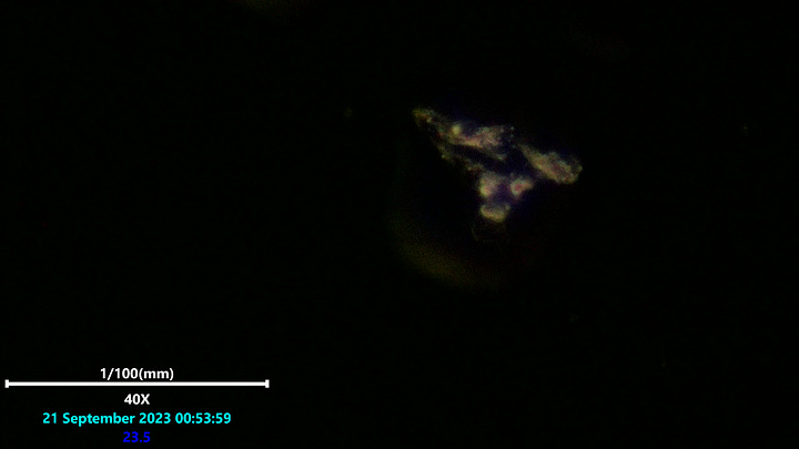 Laser scanning microscopy of hydrogel polymerizing in to a structure from inside the center of the gel area.