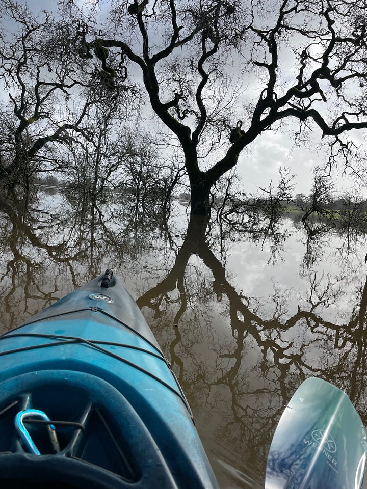 Views of the Laguna from a kayak