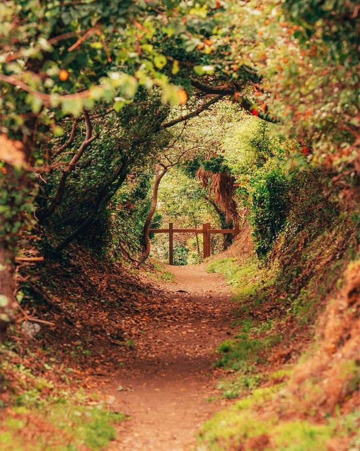 Local views of the island: Cliff Path in St Peters; Torteval Church from across the field; Torteval Church up close; autumn on the Guernsey Cliff Path. Photos by Peter Tiffin.