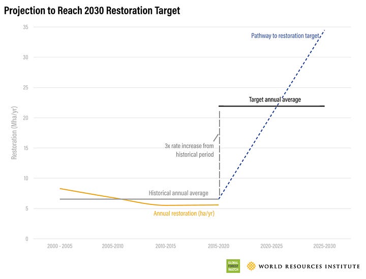 WRI Deforestation and Forest Restoration Target Paths (2023 Data)