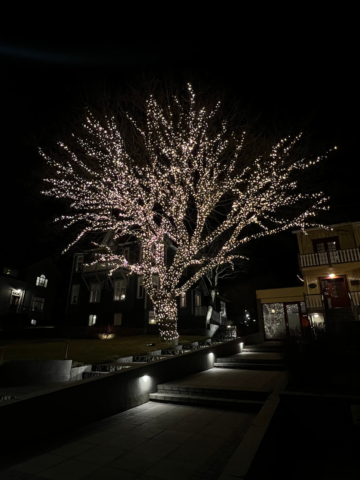 Christmas lights in Reykjavík 