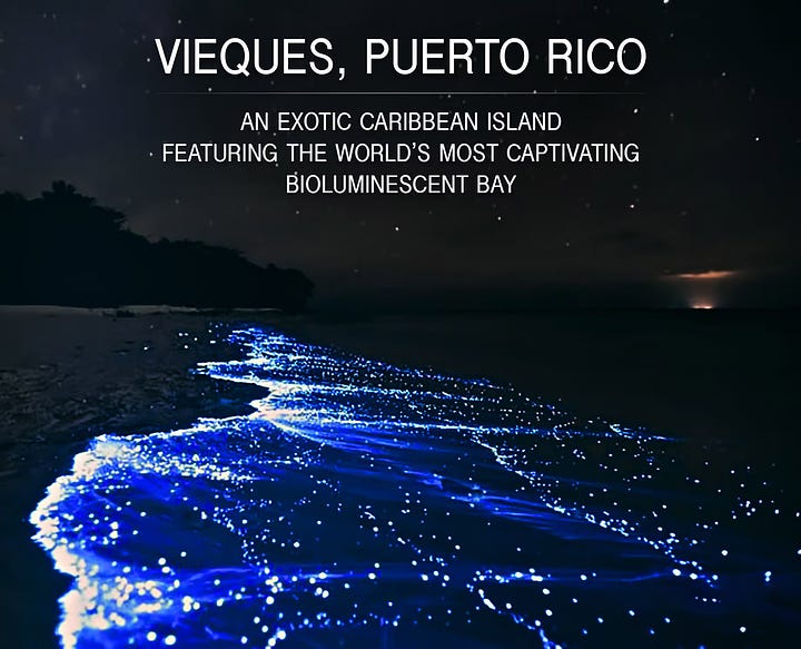 bioluminescent bay produces a glow in the water