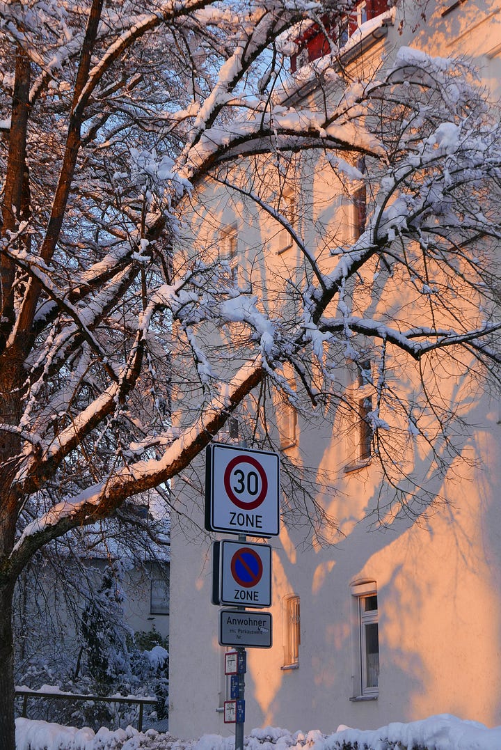 Snowy photos of the German town of Freising, with trees covered in snow and people sledging