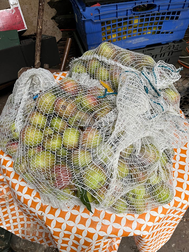 1. A local generously allowed us to glean from his apple tree; 2. Bags of delightful cox-like apples; 3. Using the small table press on the collected apples the very same day; 4. Waitrose advertising 'Best of British Apples' but one shelf has apples from New Zealand, another France, and another Chile.