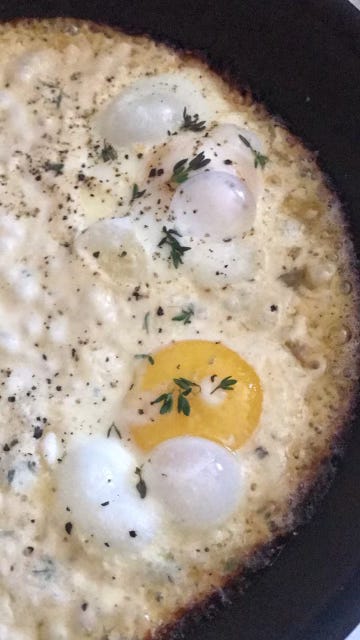 eggs in parmesan cream with thyme in a pan and on a plate