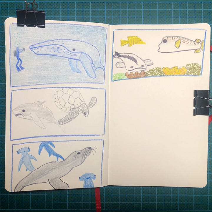 Photos de mon sketchbook posé sur mon tapis de découpe. On y voit des végétaux et animaux marins dessinés aux crayons de couleurs, feutres et Neocolor II.