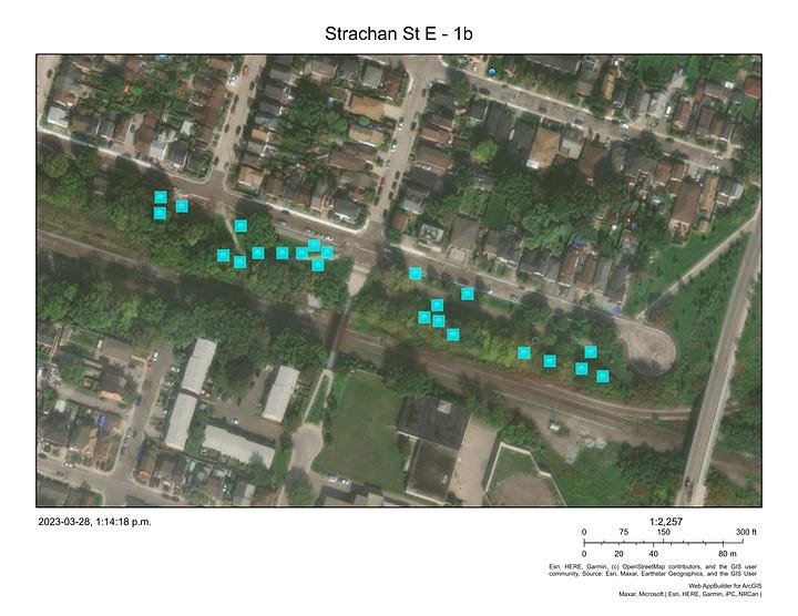 Aerial and outline maps showing the places where City staff is planning to replant trees along Strachan Street East