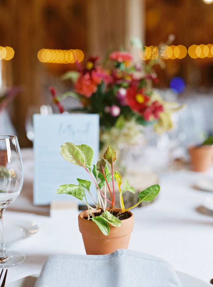 Image gallery of food at a wedding with lots of flowers in a barn.