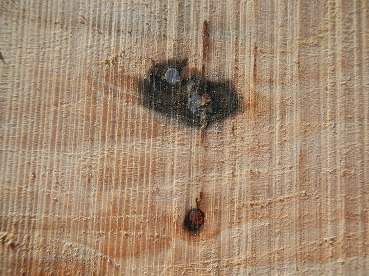 Hitting iron in a log