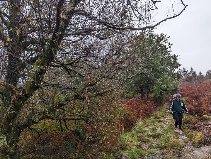 guided walk of the waterfalls of the brecon Beacons with Wales Outdoors