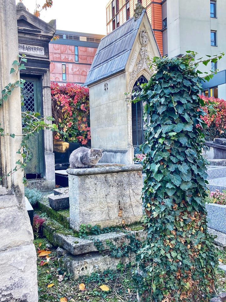 Paris cemetery graves