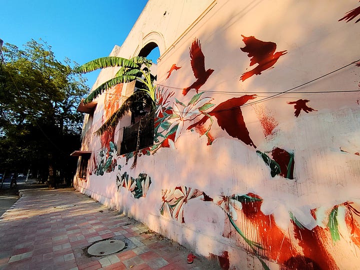 4 images of colourful murals of walls in Delhi