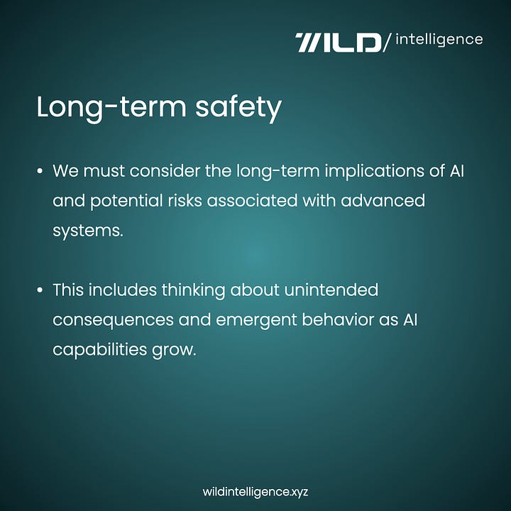 Foundations of AI safety | A Wild Intelligence’s exclusive series