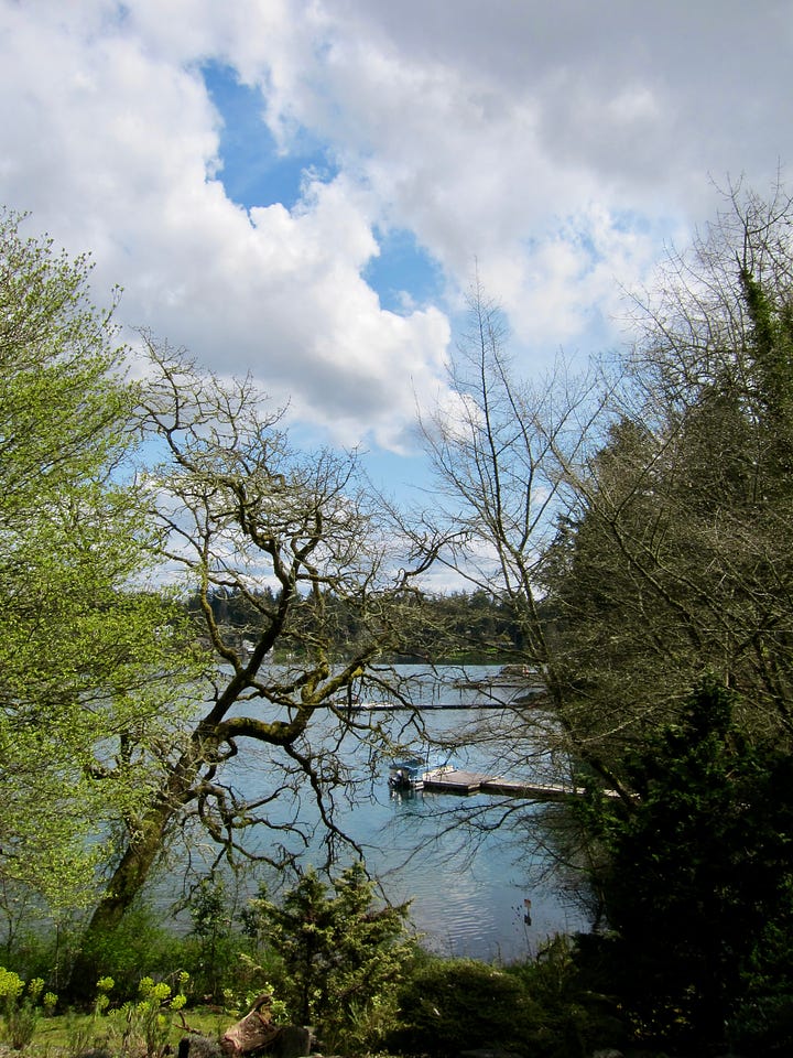 Several pictures near the edge of the lake with paths through rhododendrons and docks visible on the water.