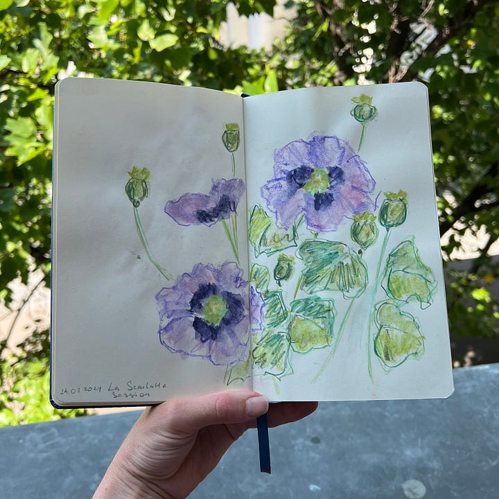 Sketchbook spreads with sketches of flowers created with coloured pencils and crayons.