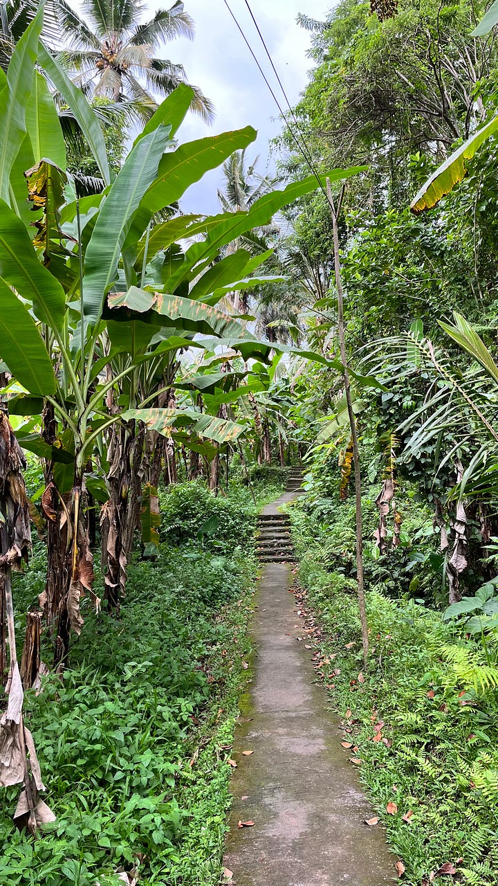 Lush nature and a traffic jam