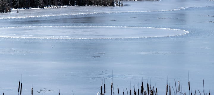 Lake Stars and Ice Circles