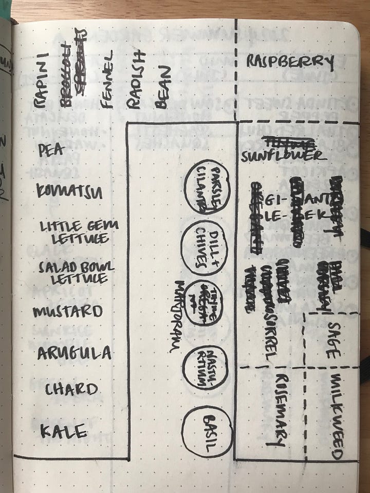 Pictures of garden plans from my journal