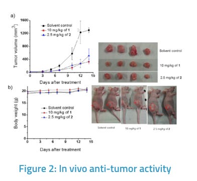 Platinum Complexes for Anti-Cancer Treatment