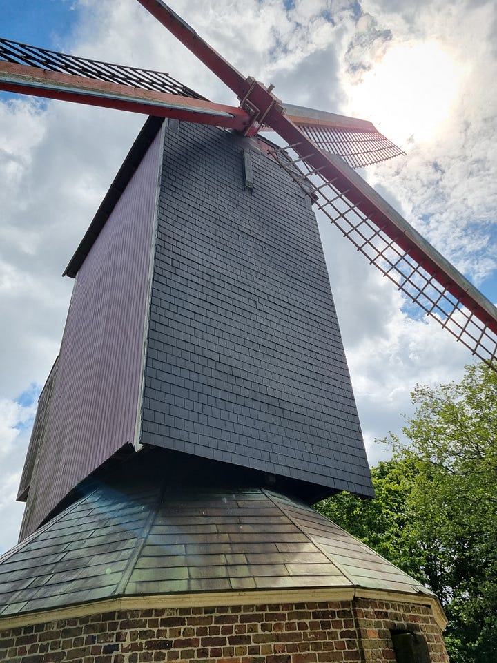 Photo 1: Tasting paddle at Brewery Bourgogne des Flandres with church in the background. Photo 2: Bruges Grote Markt with a horse pulling a buggy entering the photo from left. Photo 3: view from the Lovers Bridge. Photo 4: close up of the New Parrot windmill. 