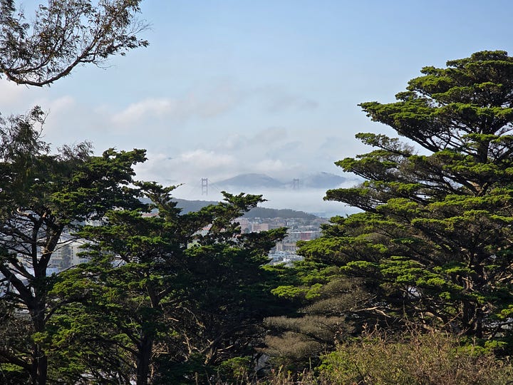 view of the golden gate bridge and downtown financial district pyramid building from buena vista park