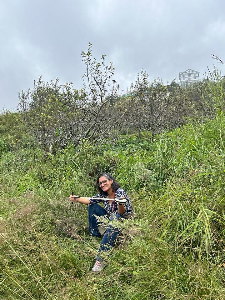 Images of Aditi in the middle of an overgrown slope, with a measuring tape in hand