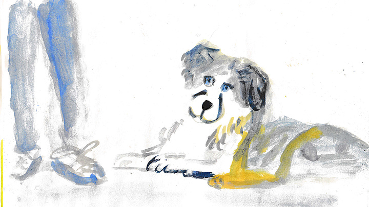 dog illustrations by Beth Spencer