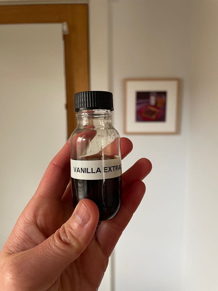 A test tube with vanilla beans and vodka, making homemade vanilla extra. A hand holds a small bottle of vanilla extract, decanted from the test tube.