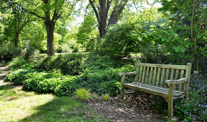 Bench with a plaque that reads "For my lifelong best friend Judy, From Janice. We were girls together."