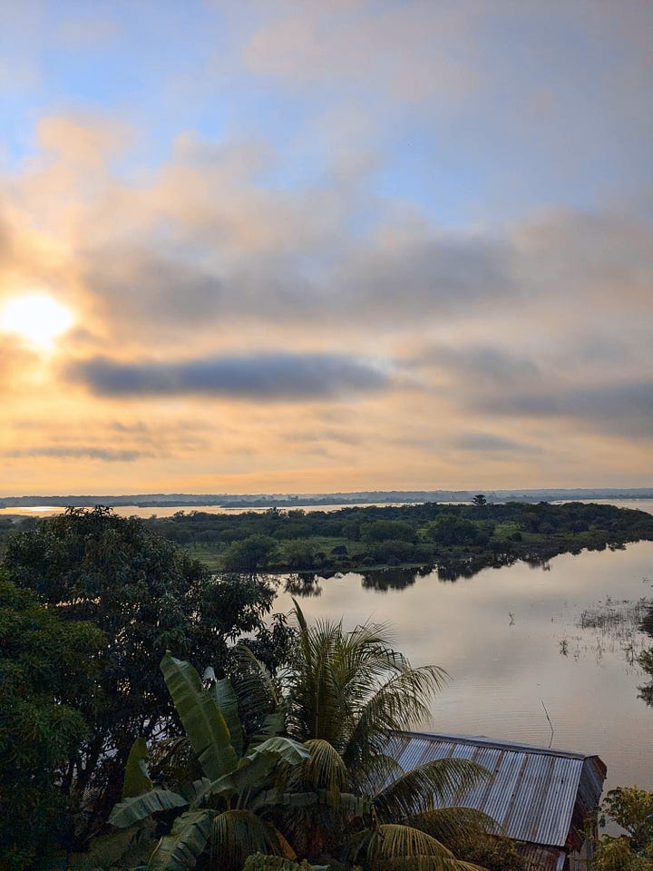 Dawn on the Amazon