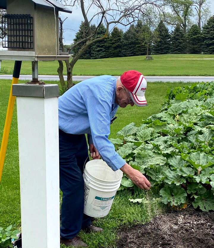 Author's young adult daughters helping her father plant a garden.