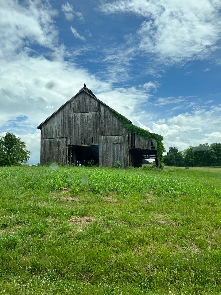 Rustic Barns