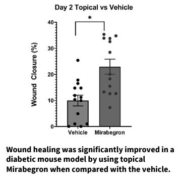 Chronic Wound Healing Using β3AR Agonists