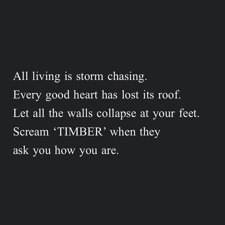 Image 1: I decided I was too soft to last, but then I decided to be softer. Image 2: Sometimes the most healing thing we can do is remind ourselves over and over and over— Other people feel this too. Image 3: All living is storm chasing. Every good heart has lost its roof. Let all the walls collapse at your feet. Scream 'TIMBER' when they ask you how you are. Image 4: Brave is a hand-me-down suit from Terrified-As-Hell.