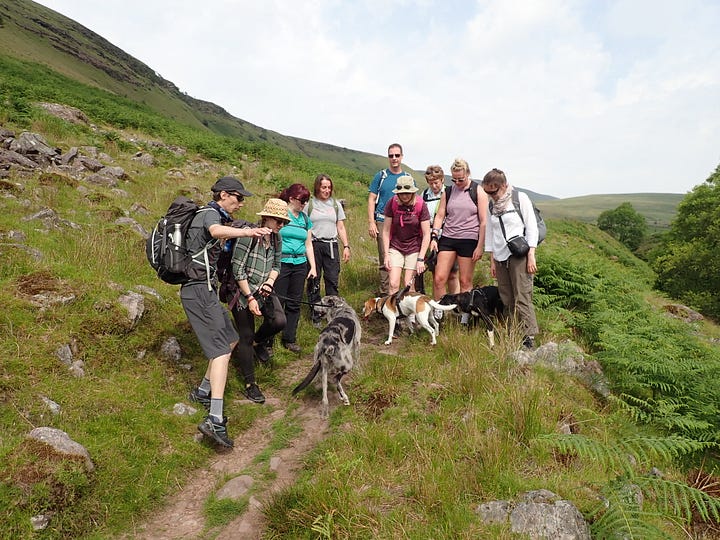 mountain scenes in the brecon beacons