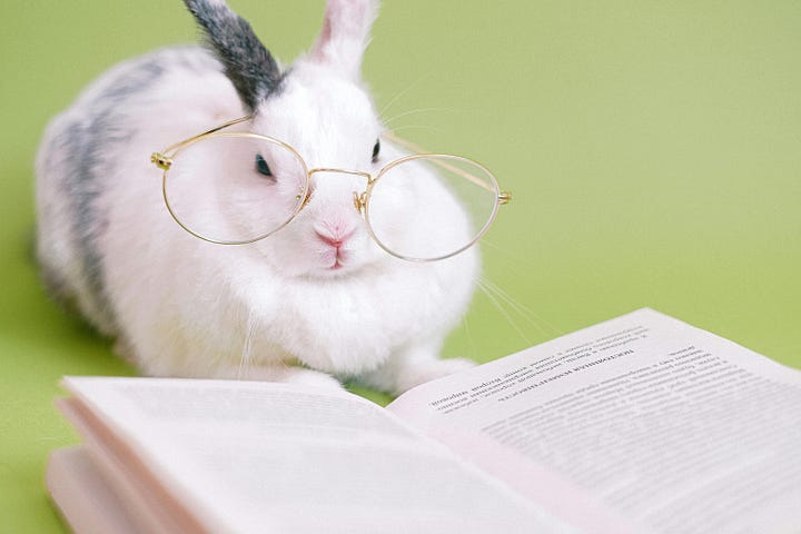 Three bunny rabbits, including one with glasses and a book!