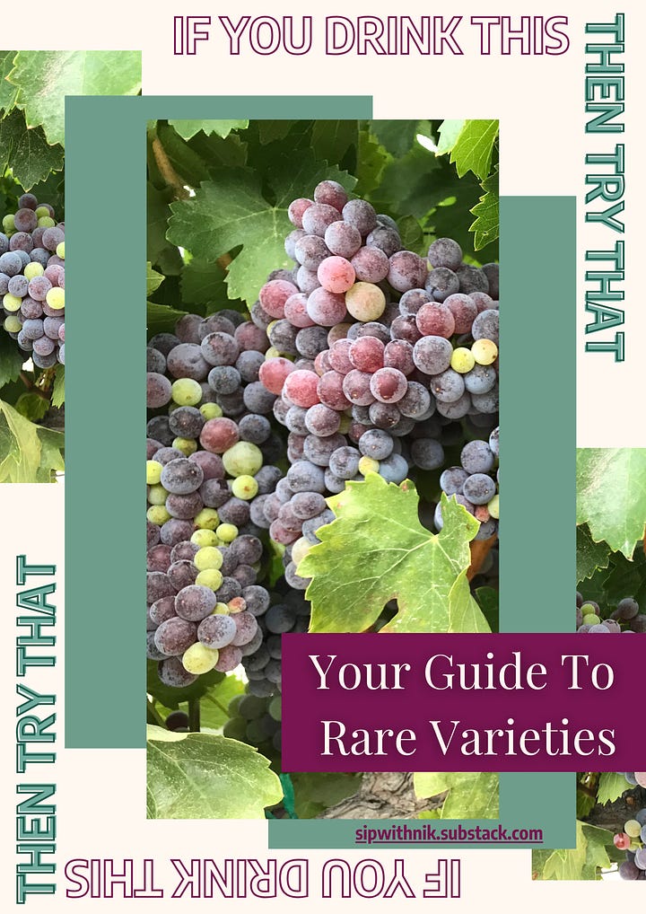 food and wine guides