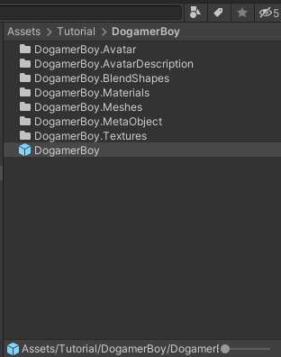 Dogamer Boy folder in Unity project, zoom out and zoom in preview