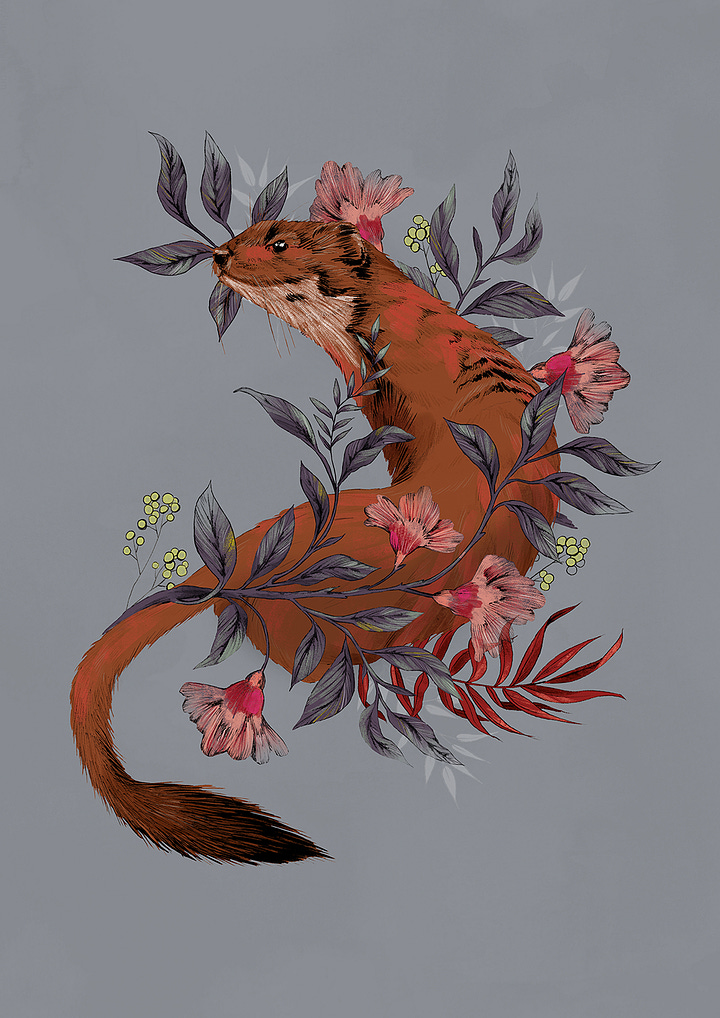 An illustration of a stoat in foliage by La Scarlatte and a colour palette