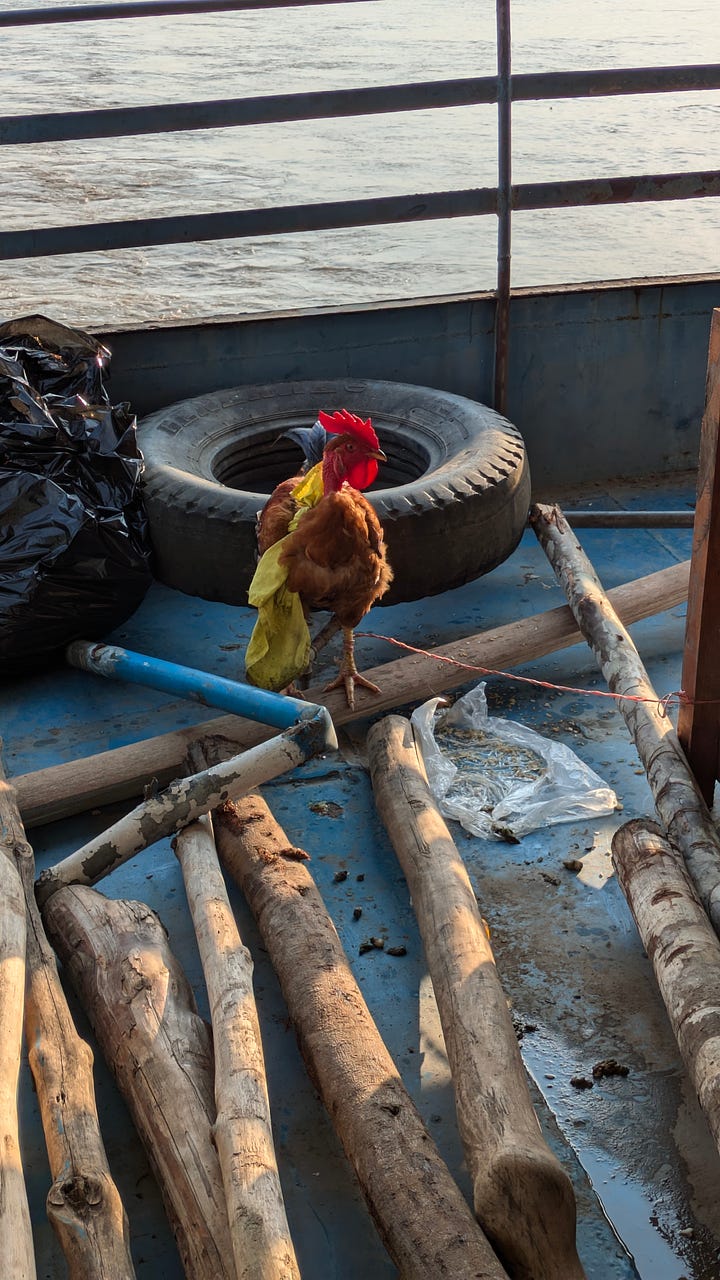 Precious cargo: chickens, cows and approx. one million eggs.