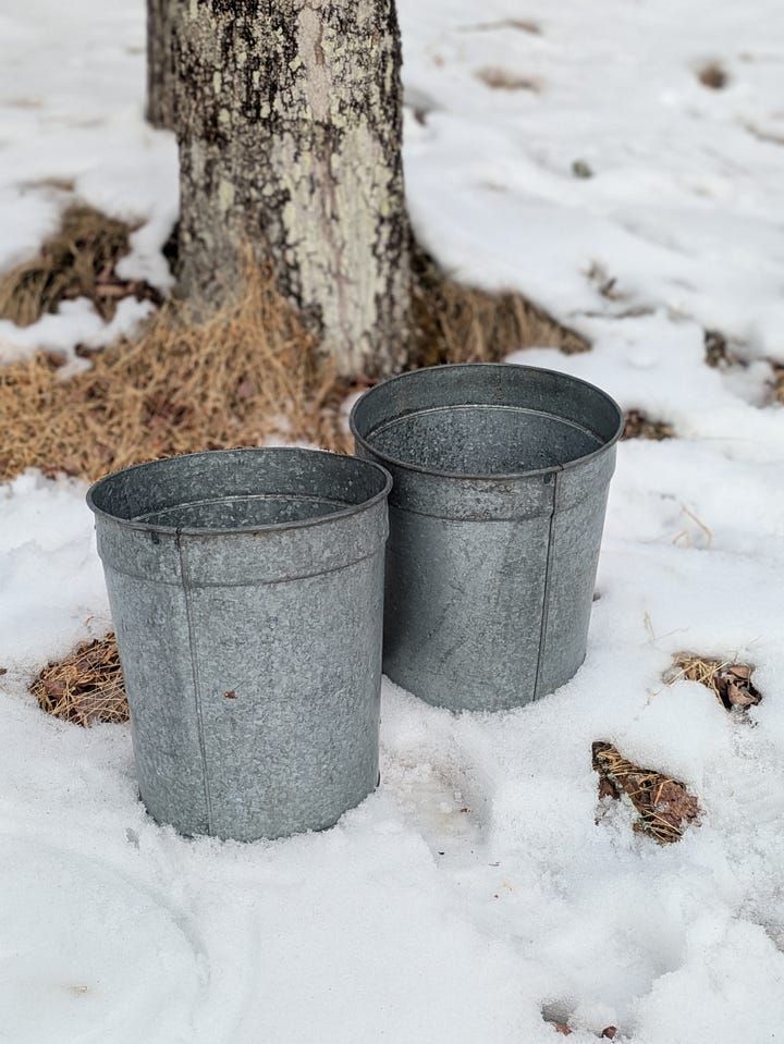  Maple sugaring in Woodstock, NY 