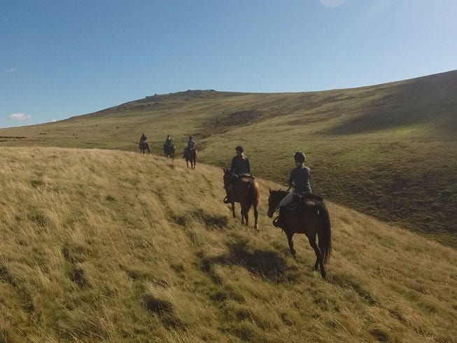 Horse Riding Dartmoor Western Cattle Drive