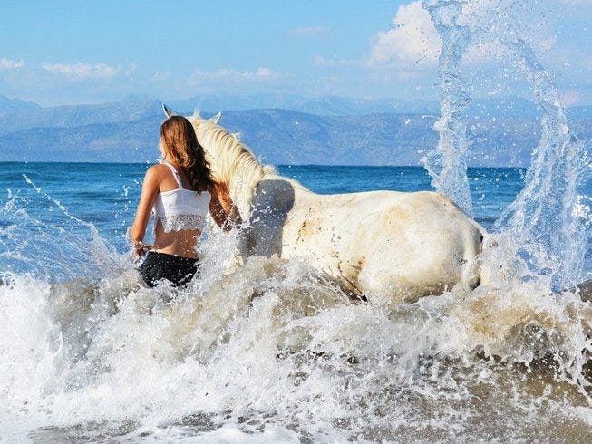 Horse in sea corfu